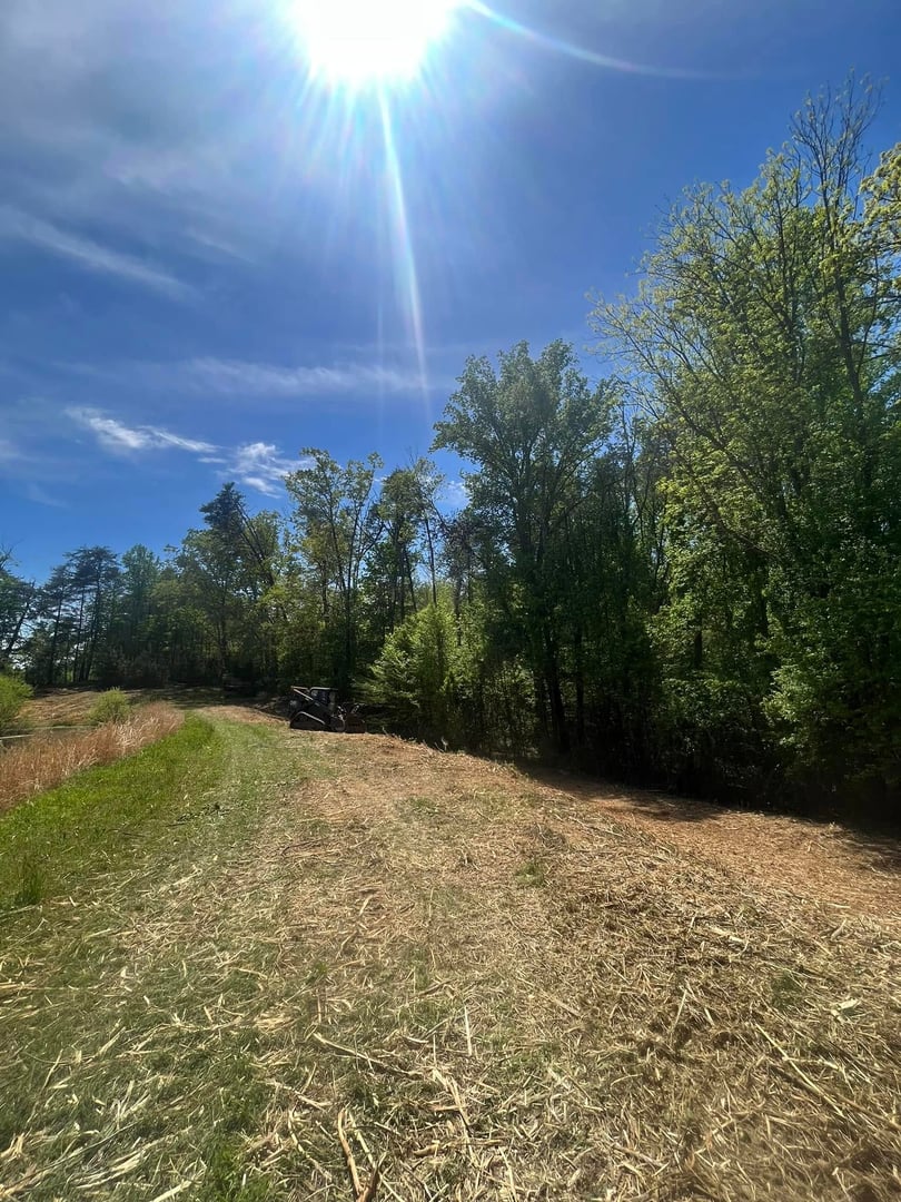 Blair Excavation forestry mulching project