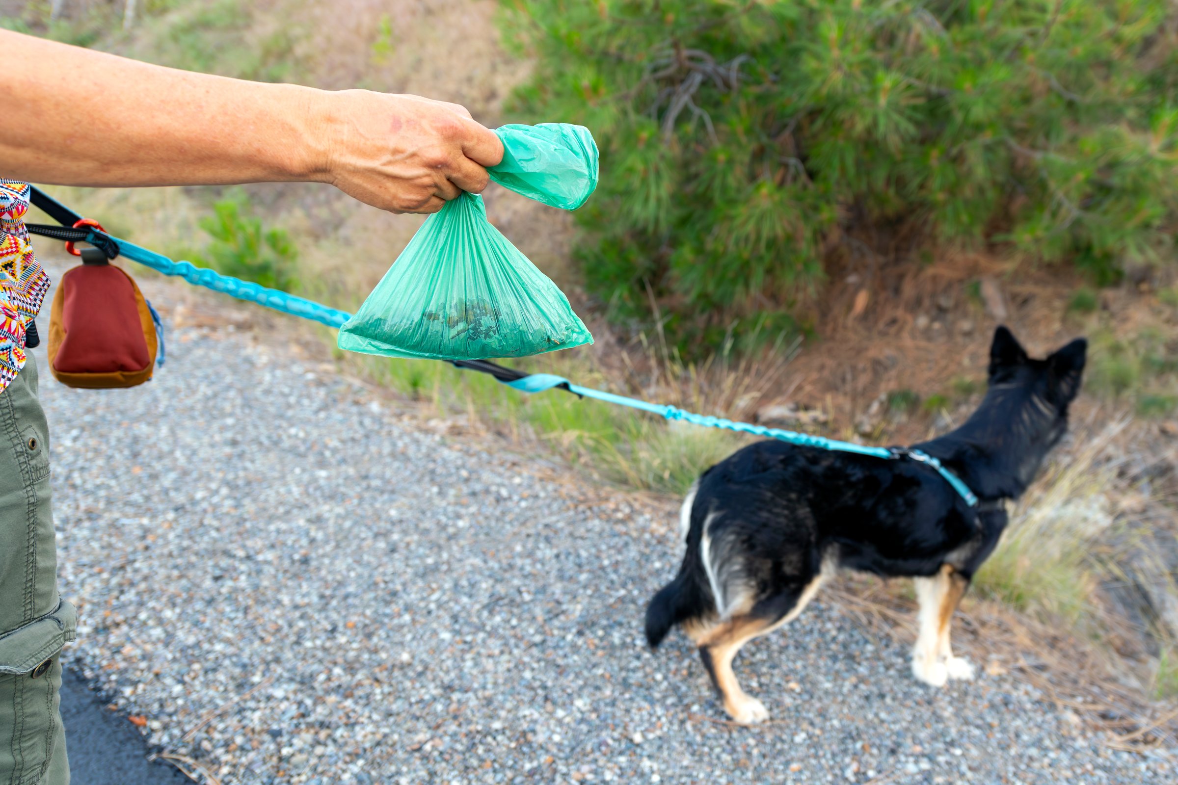 Woman with dog waste bag on hike