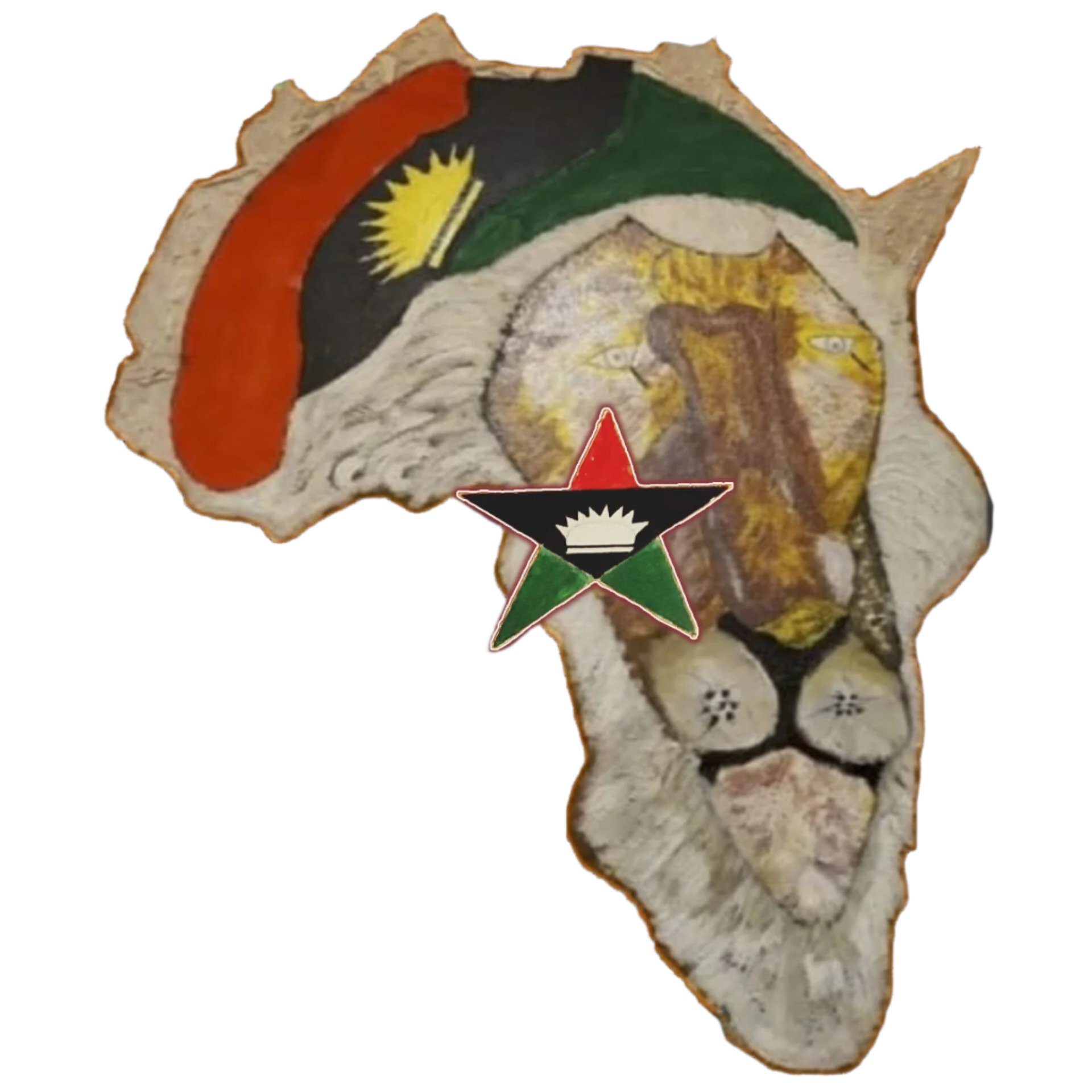 Custom DESANIBIA logo design on white t-shirt