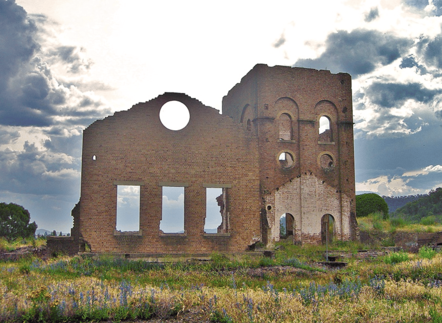 Lithgow and Blue Mountains test and tag service area