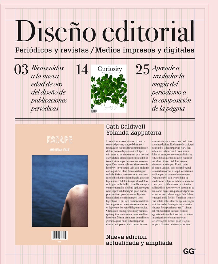 Contenido editorial profesional