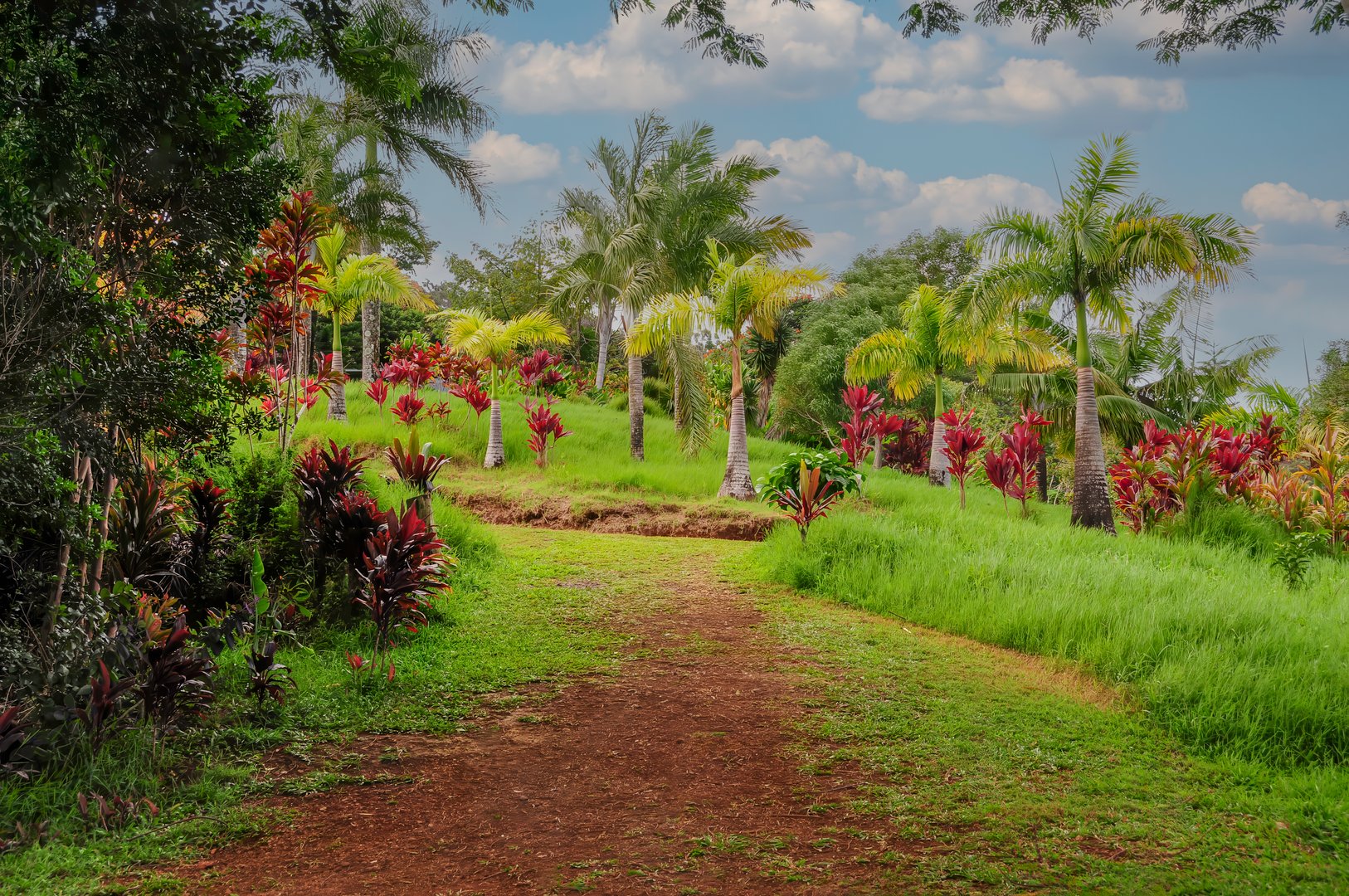 Florida golf course with tropical landscape and palm trees