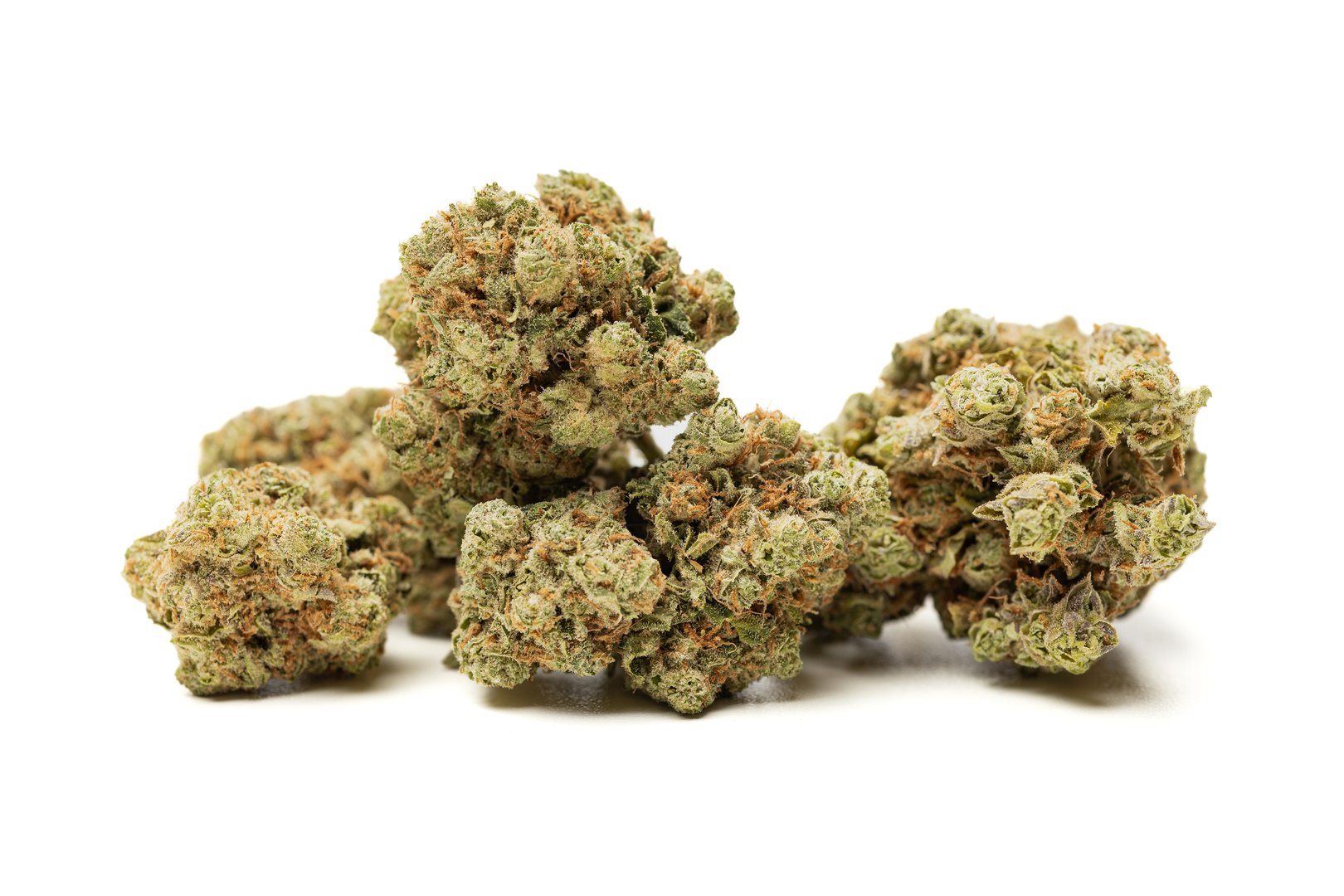 Marijuana flowers isolated on white background. Cannabis plant close up.