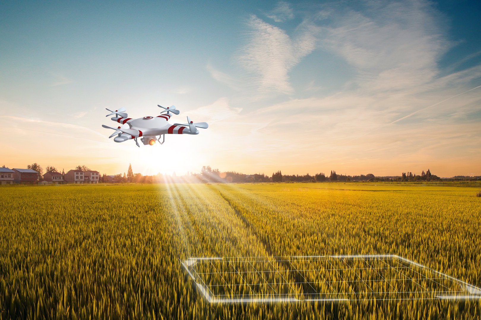 Agriculture drone flying about sweet corn fields to sprayed fertilizer is agricultural smart farm business concept wite twilight sky background.