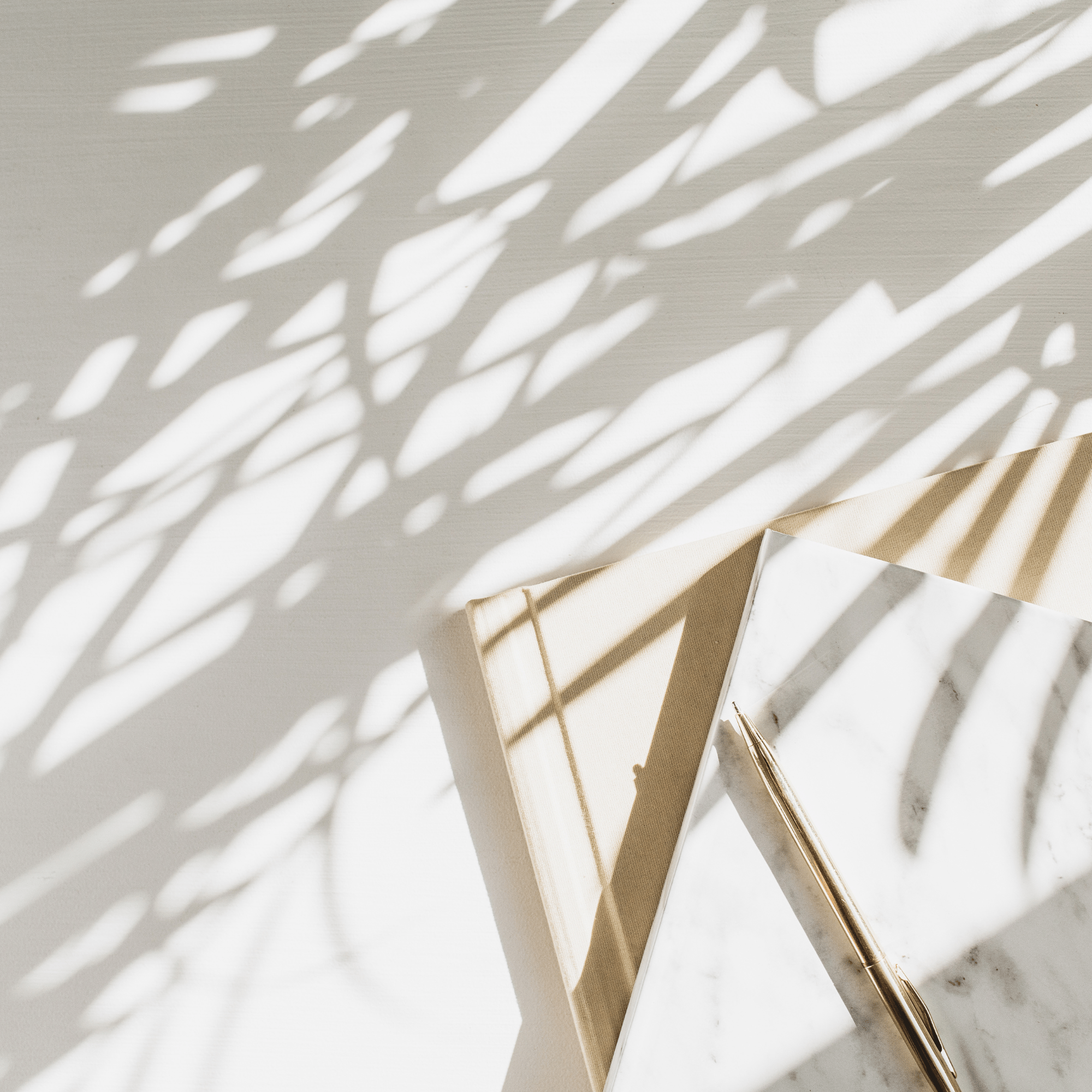 Dr. Poyner's educational journey