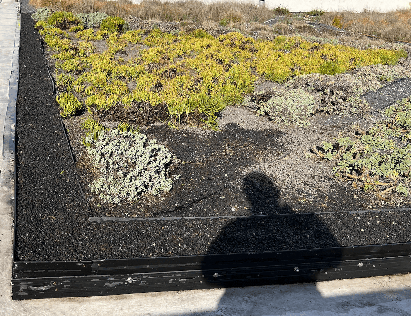 345 Brannan Rooftop Terrace project image 3