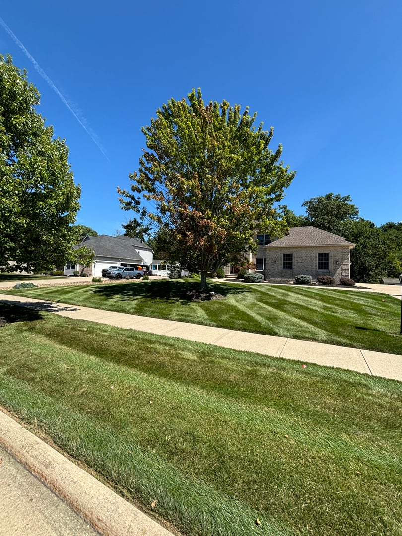 Yellow Jacket Landscaping work showcase