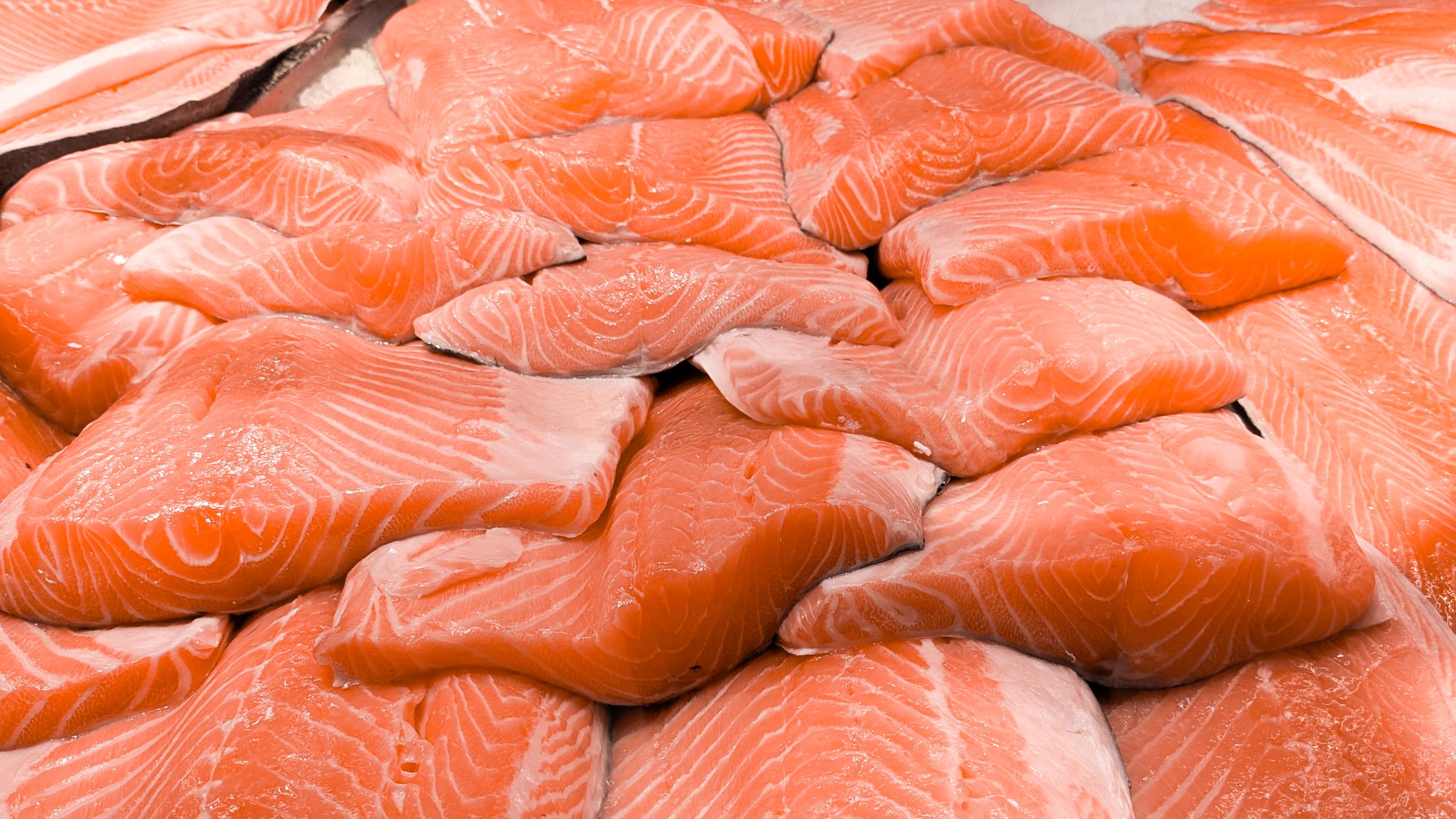 Filete de pescado fresco