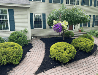 New lawn installation