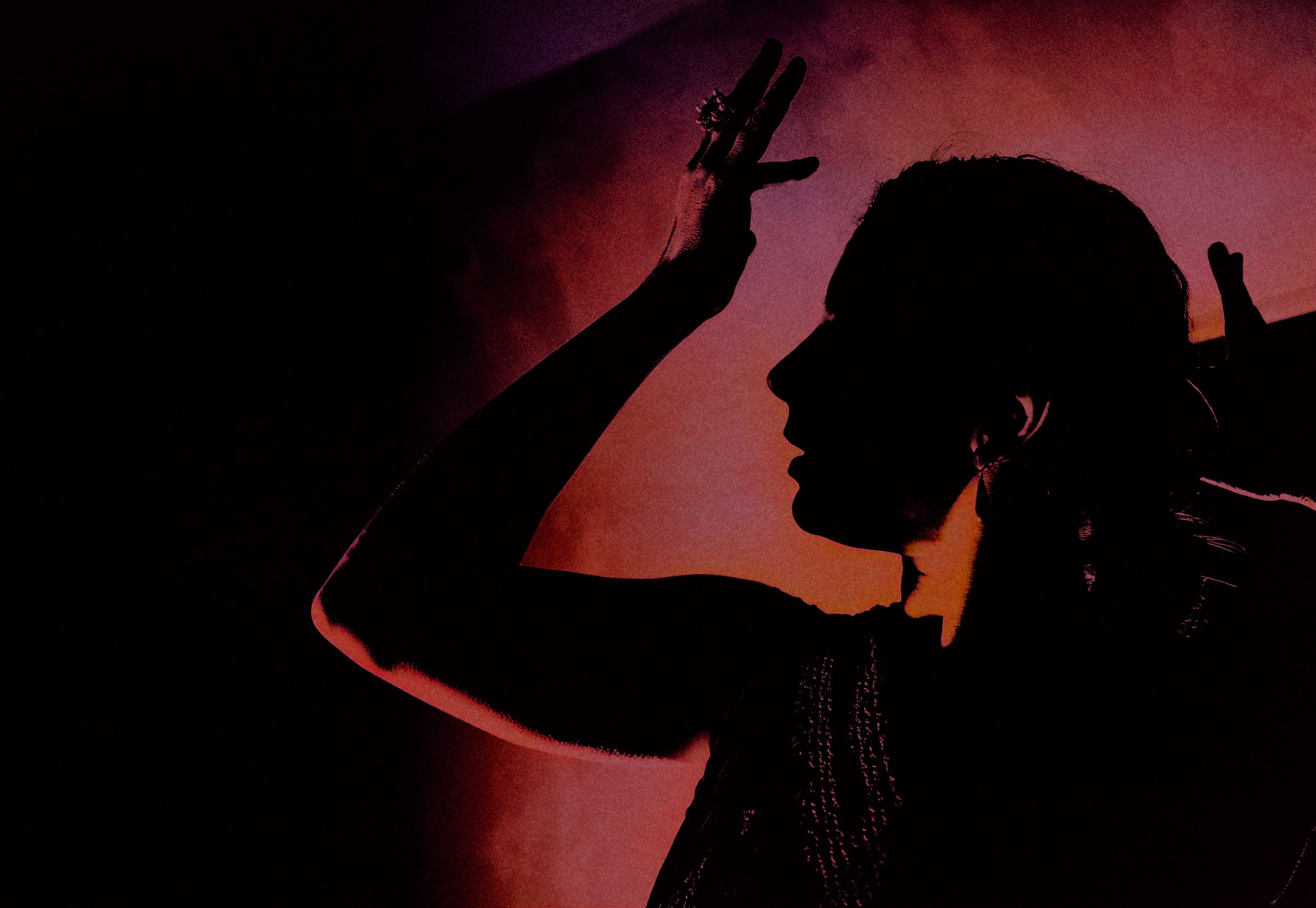 A woman dances flamenco, she can be seen in profile and backlit.