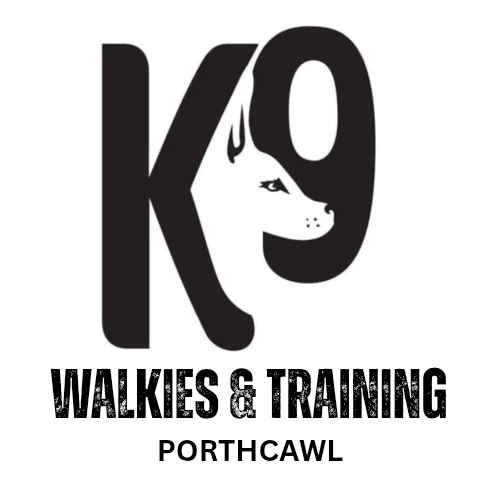 Logo featuring the letter K9 with a dog silhouette, and the text Walkies &amp; Training Porthcawl below.