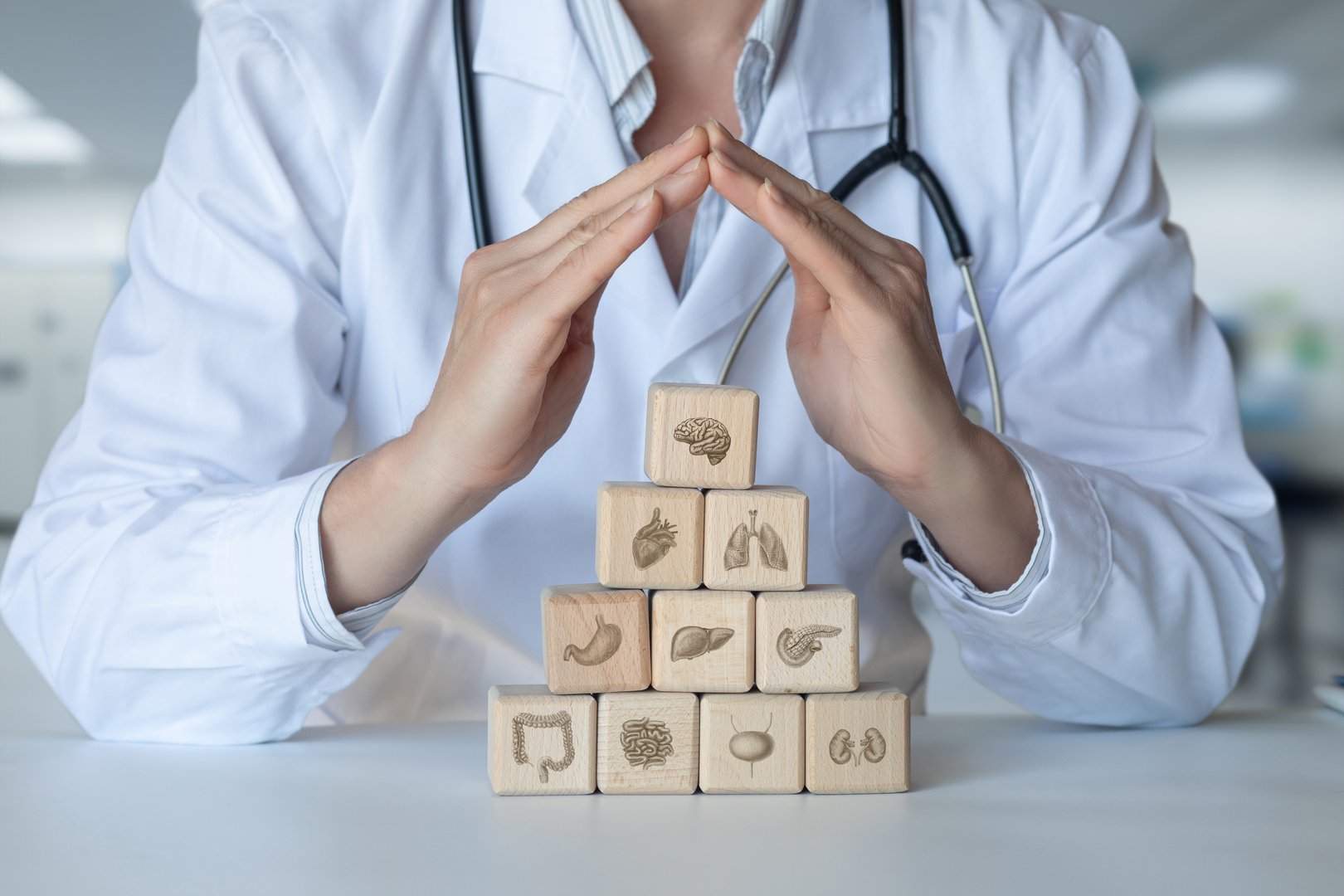 Protective gestures of the doctor for the health of the organs. The concept of comprehensive medical support and care for the health of all organs.