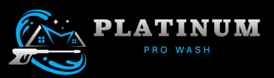 Platinum Pro Wash Logo