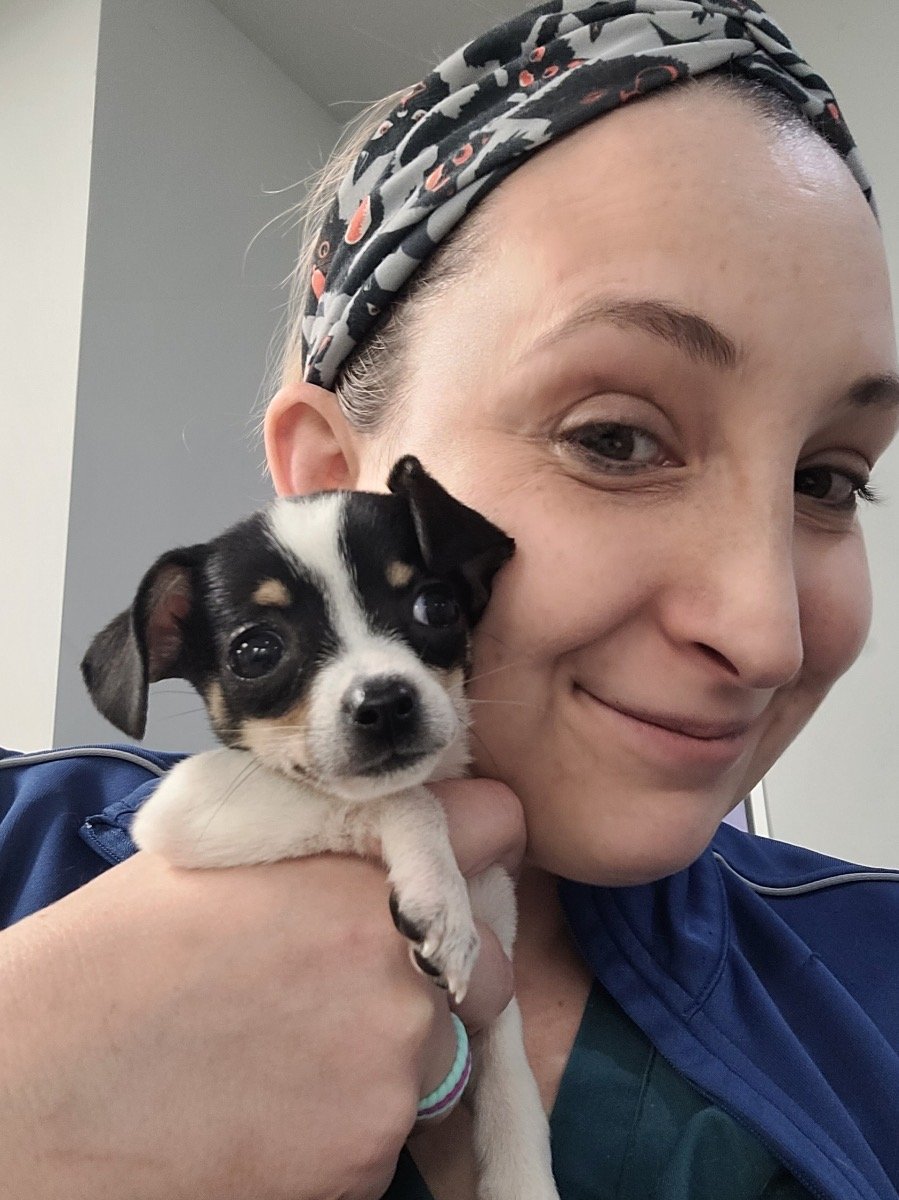 Person smiling while holding a small black and white puppy close to their face.
