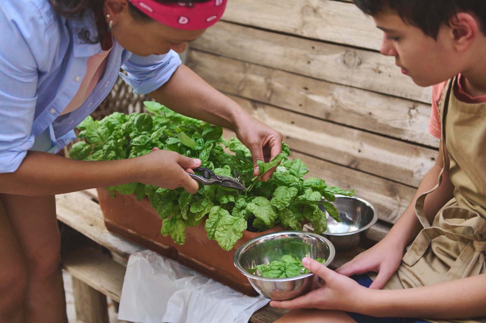 A mother and son harvest fresh spinach together from a garden box, promoting urban gardening and sustainable living.