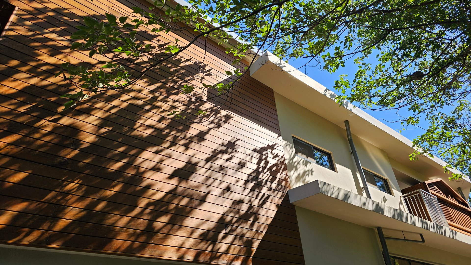 Beautiful sunny afternoon, sunlight filters through the tree leaves, swaying shadows on the walls and tile ground, branches and leaves lovely atmosphere of light and shadow design nature pattern wooden background