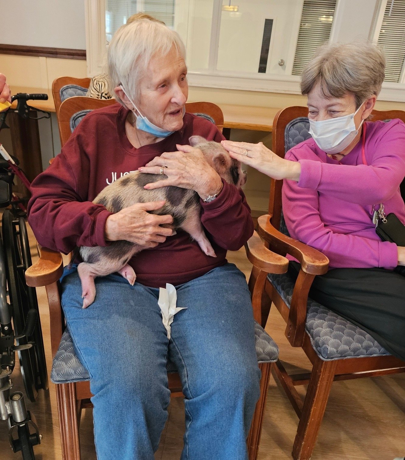 Group of piglets in barn