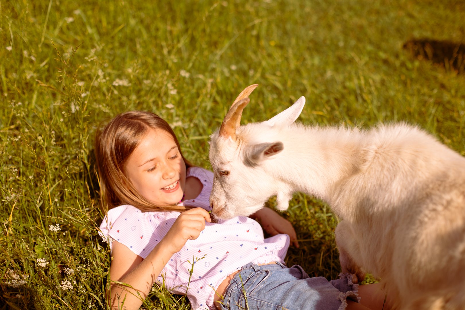 Girl farmer playing with a baby goat in her arms, surrounded by a lush green field, basking in the warmth of a sunny day. High quality photo