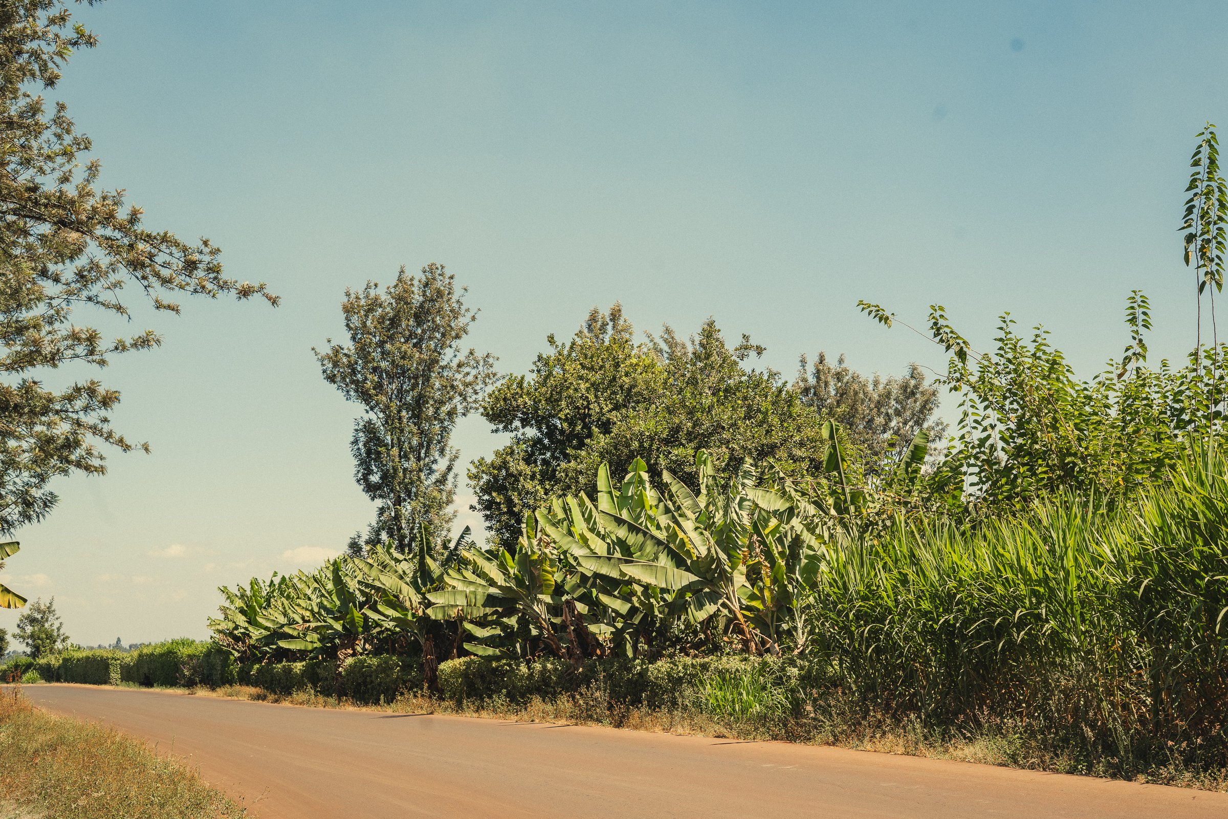 About Ruwawa Farm