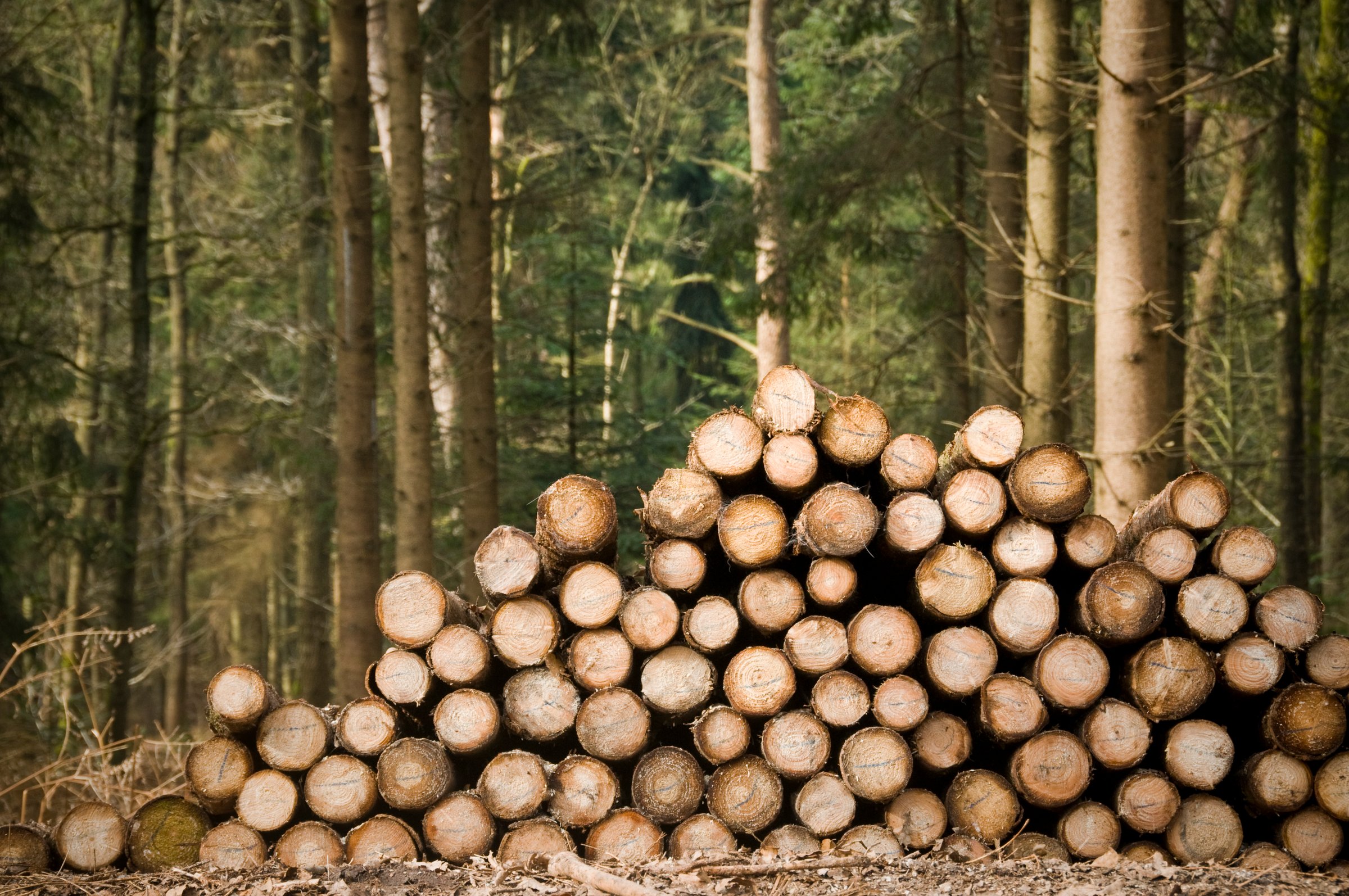 Raw materials and wood