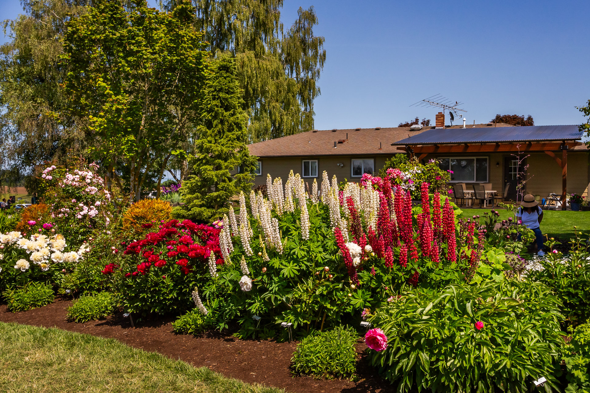 Colorful flowerbed with flowers in bloom