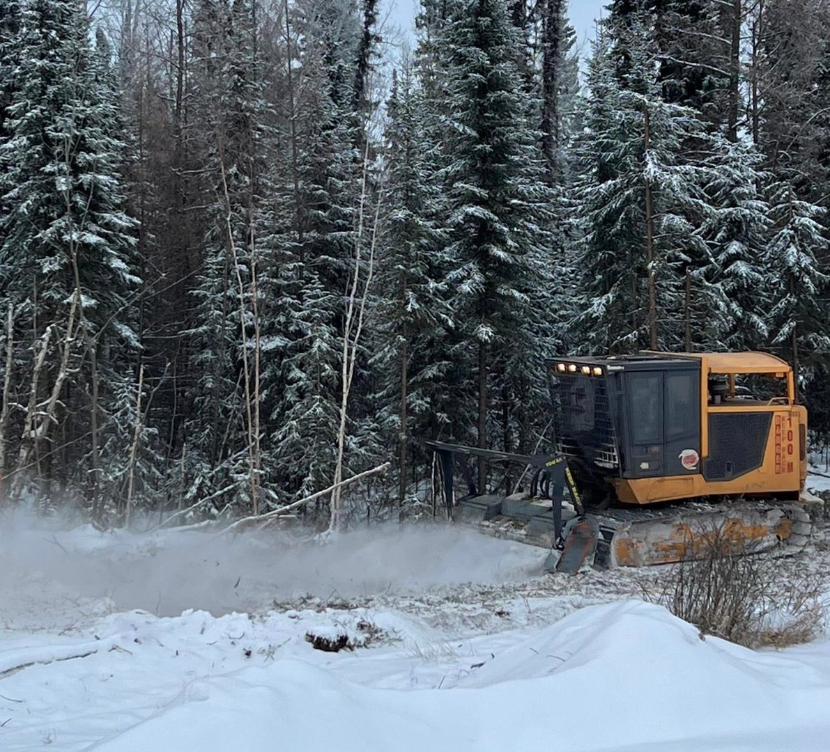 Cardinal Contracting field operations