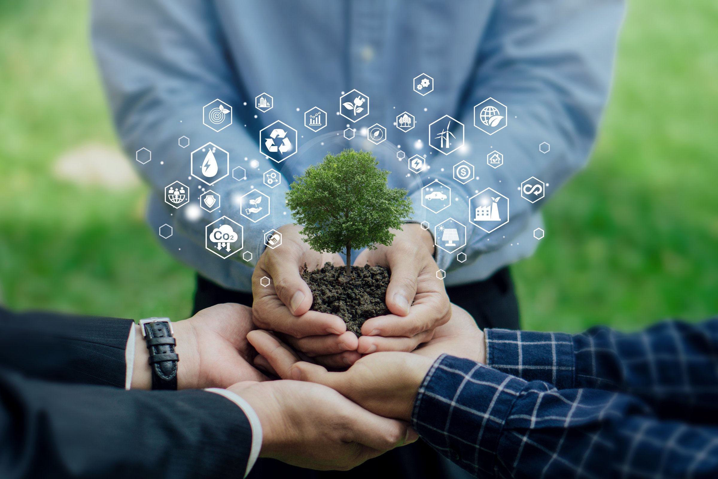 Businessman holding green plants with icons representing renewable energy, sustainability and environmentalism surround the tree. World environment day, ESG, co2, and net zero. green energy.