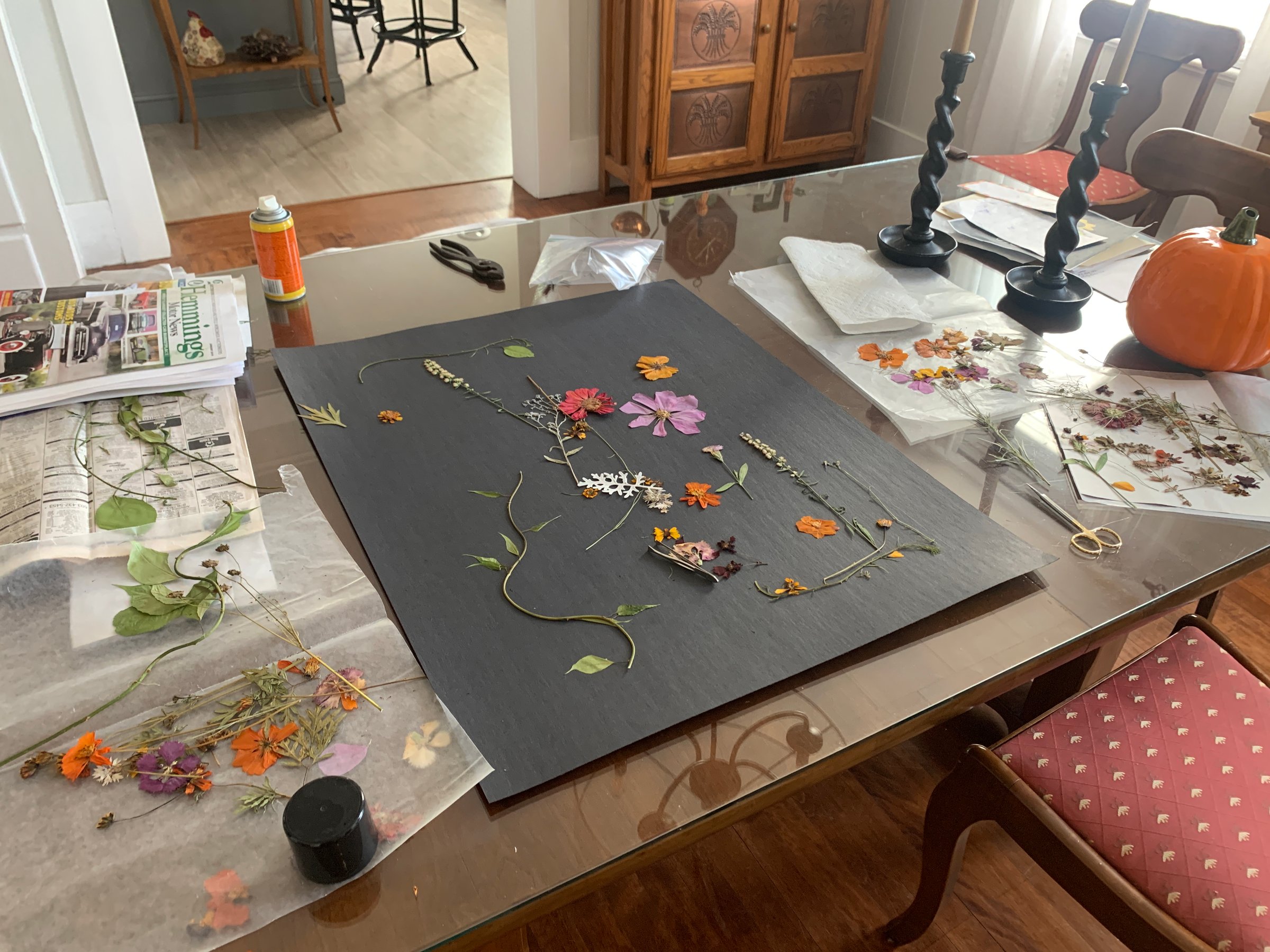 Pressed Flower Artwork Variety