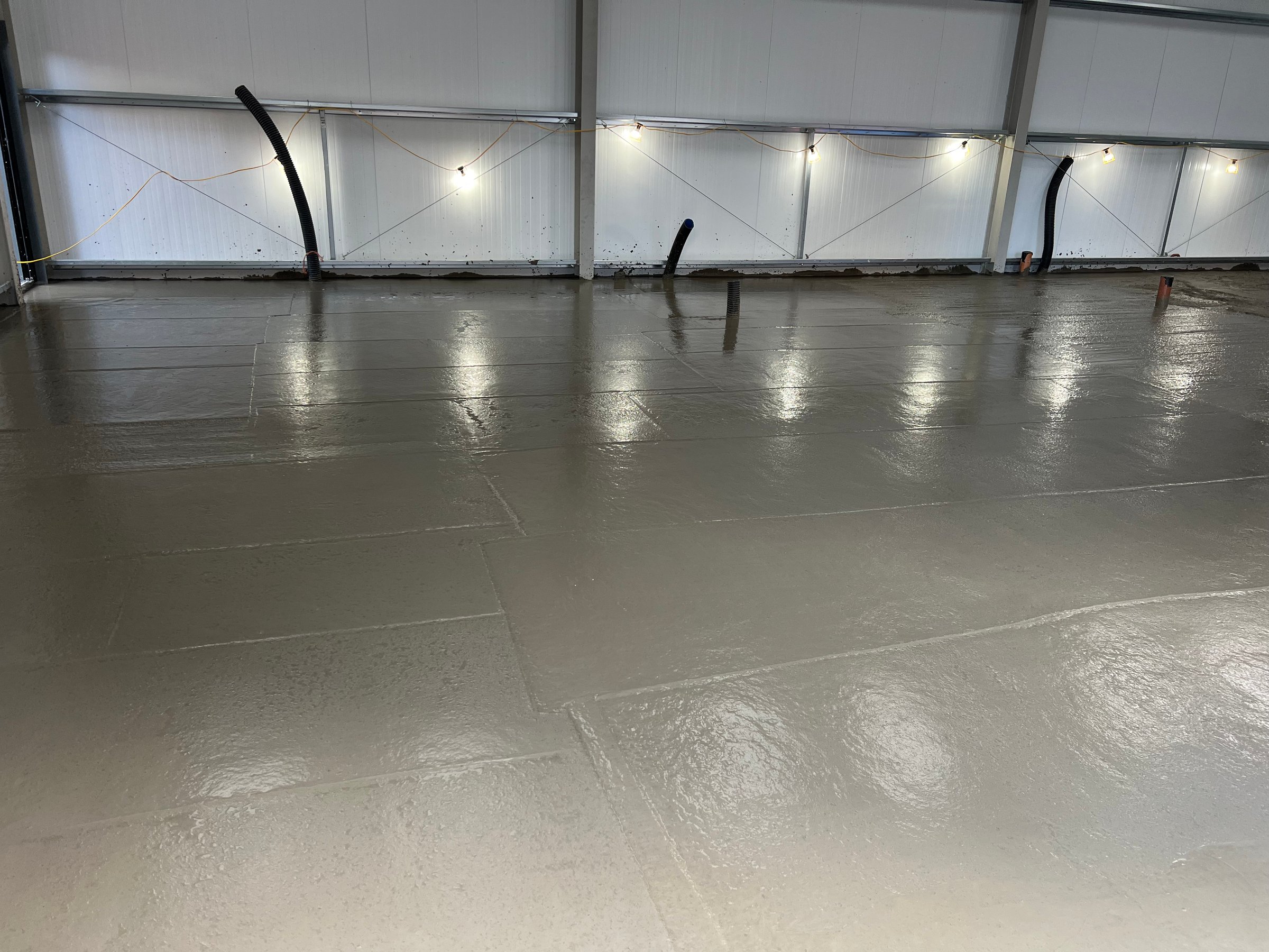 Garden after transformation