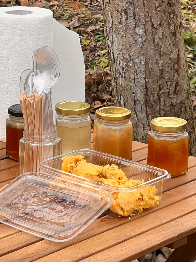 Clear your vision retreat