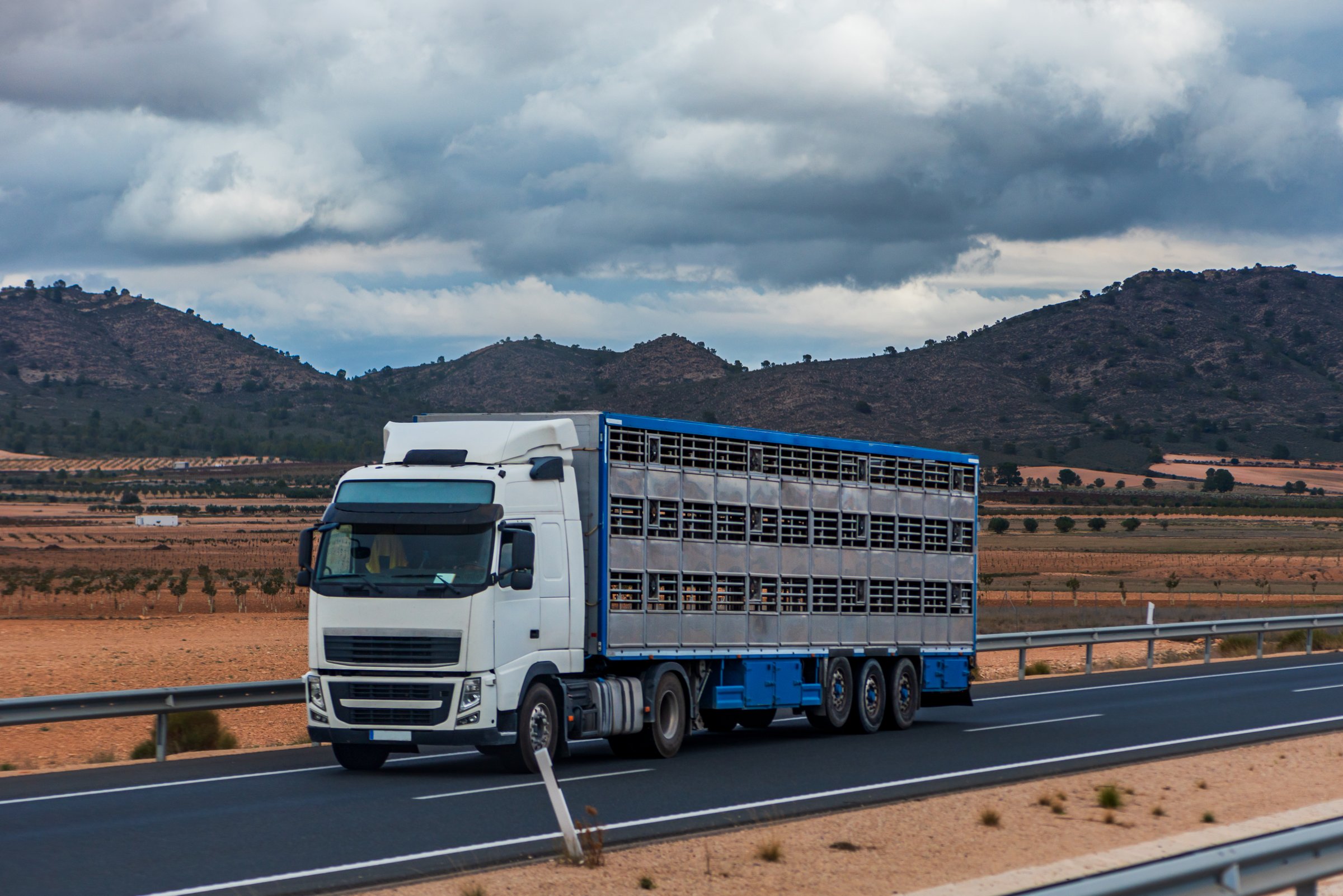 Truck with an empty cage semi-trailer