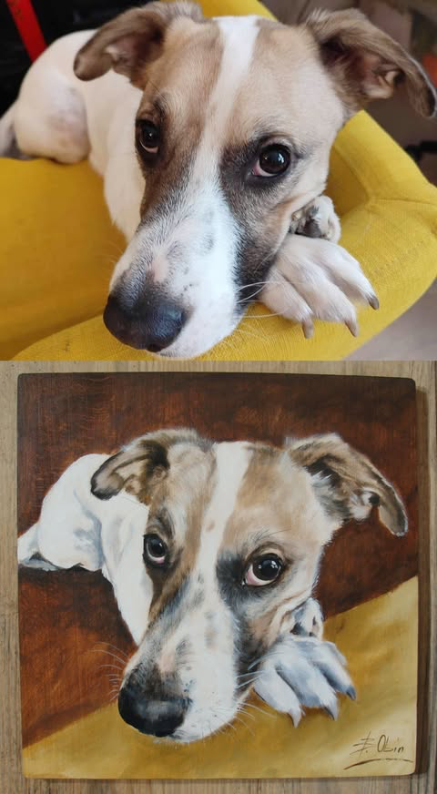 Zrealizowane zamówienie 35