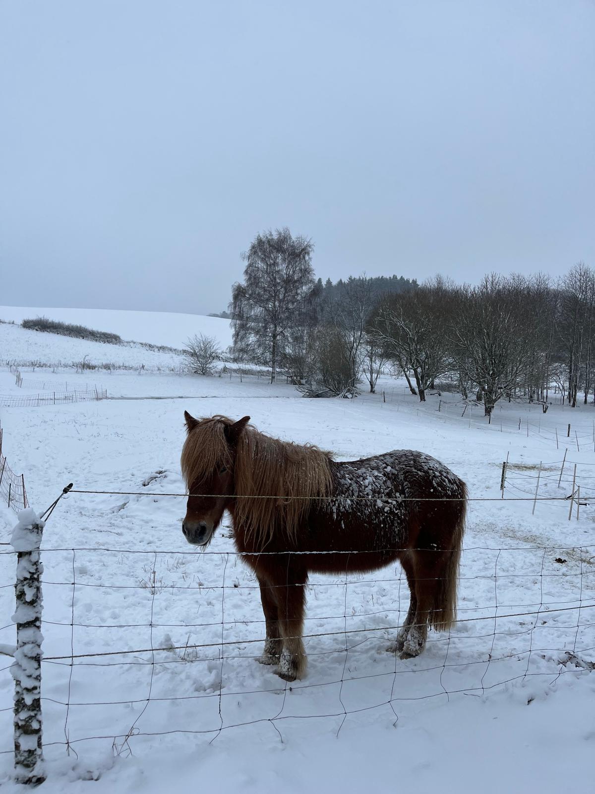 Surroundings at Eifel Moments