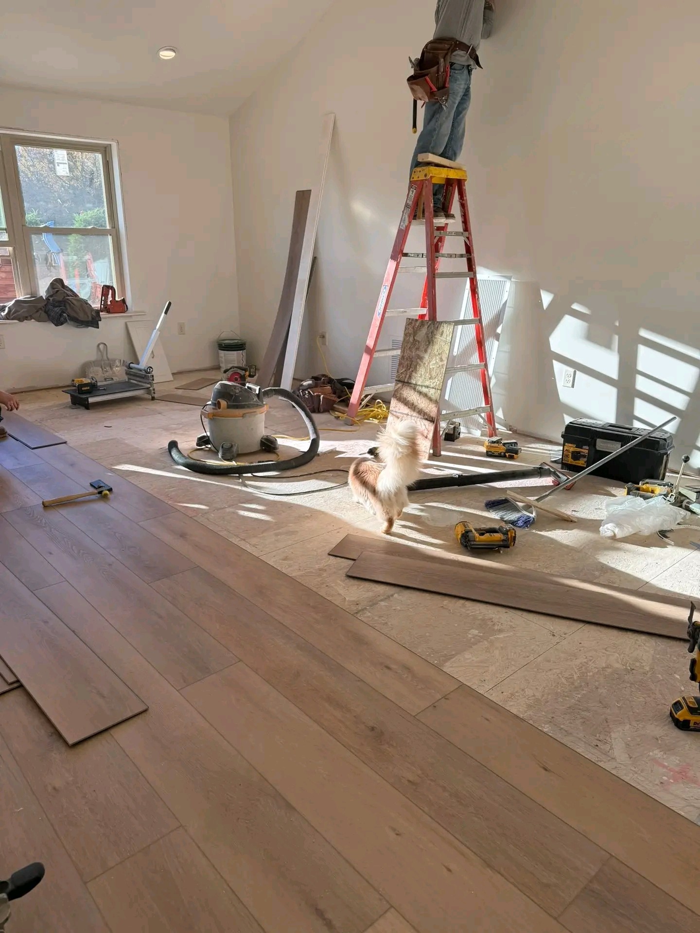 Bedroom framing construction Ottawa Hills