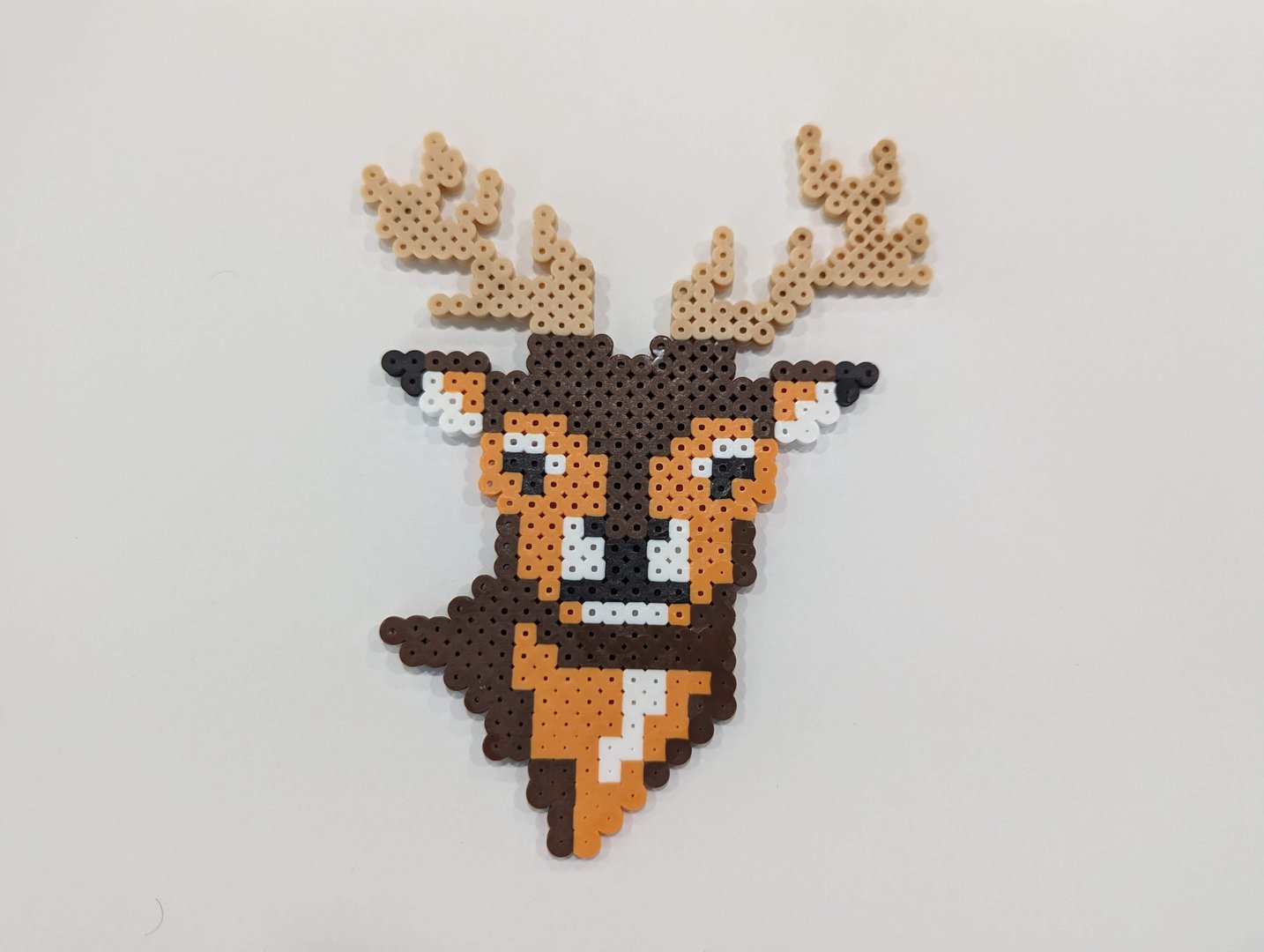 Animal 10