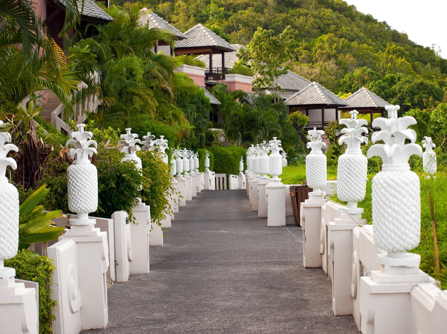 Tropics village and garden are terraced in Thailand