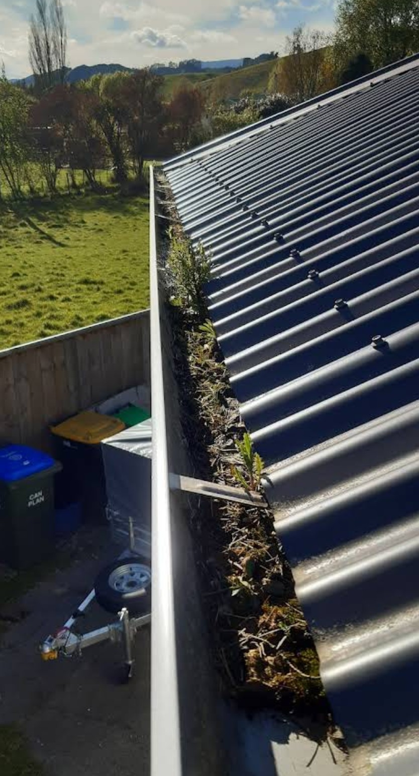 Gutter before cleaning - full of debris