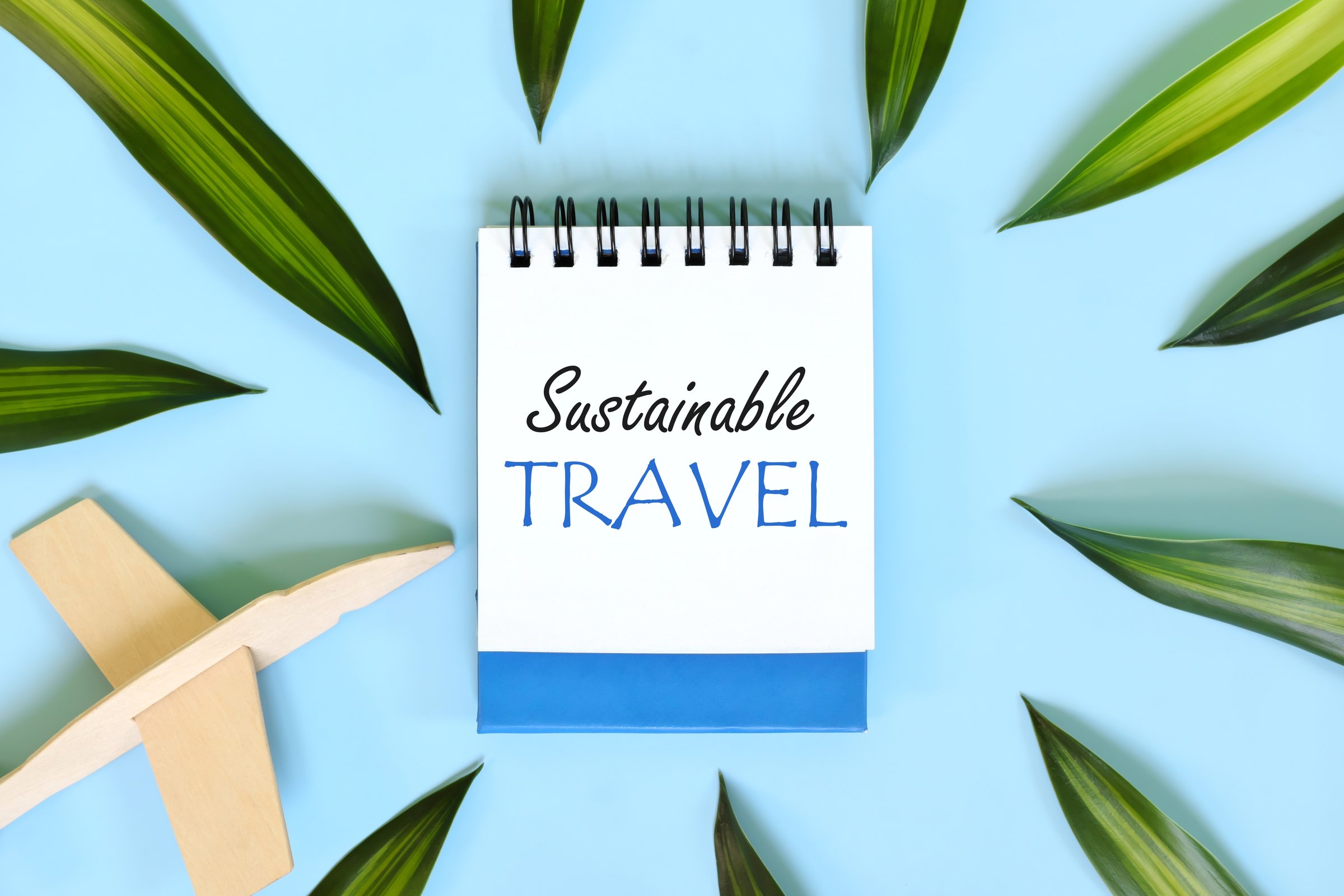 Sustainable travel concept. Beautiful flat lay composition in blue background.
