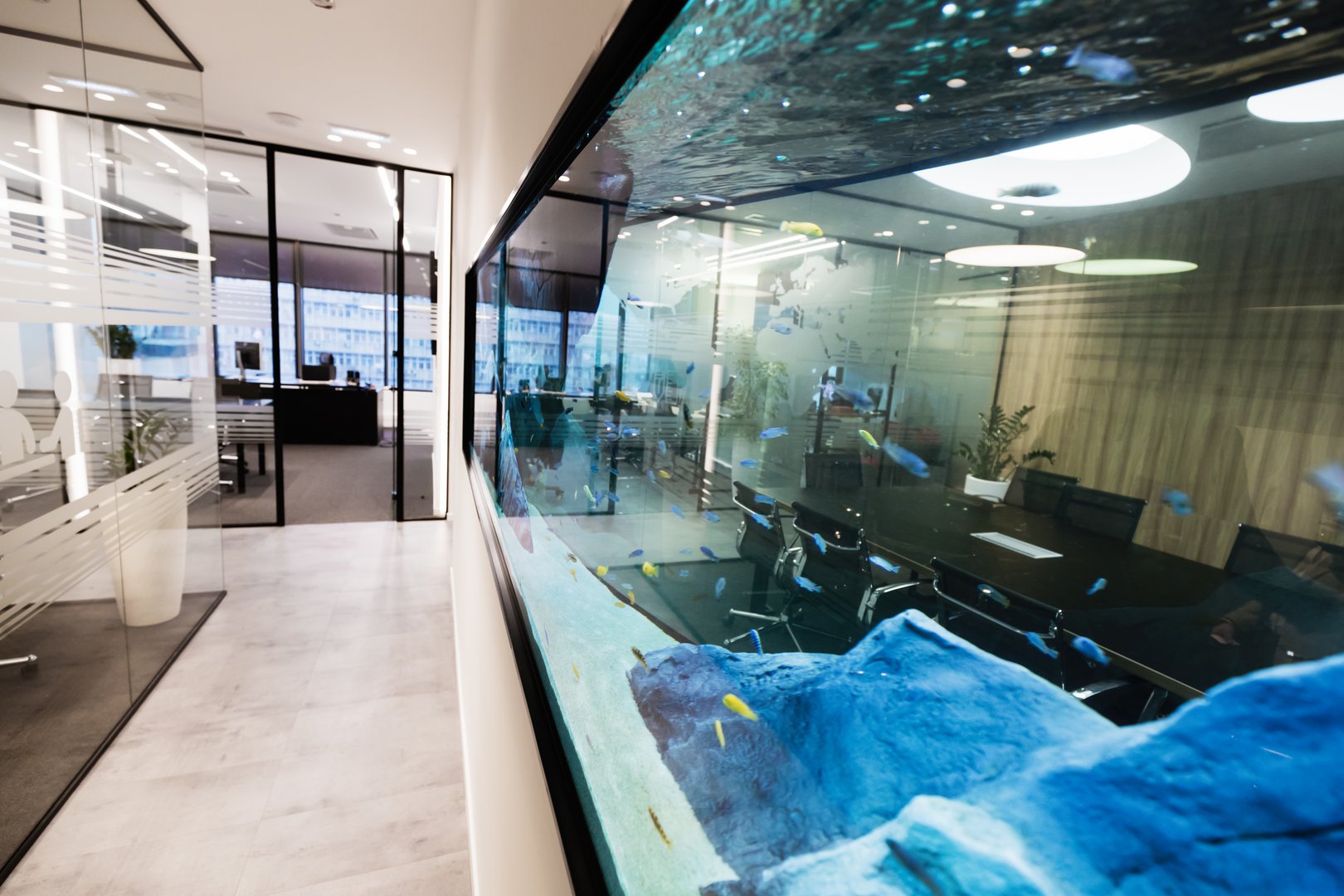 Modern beautiful equipped conference room with aquarium