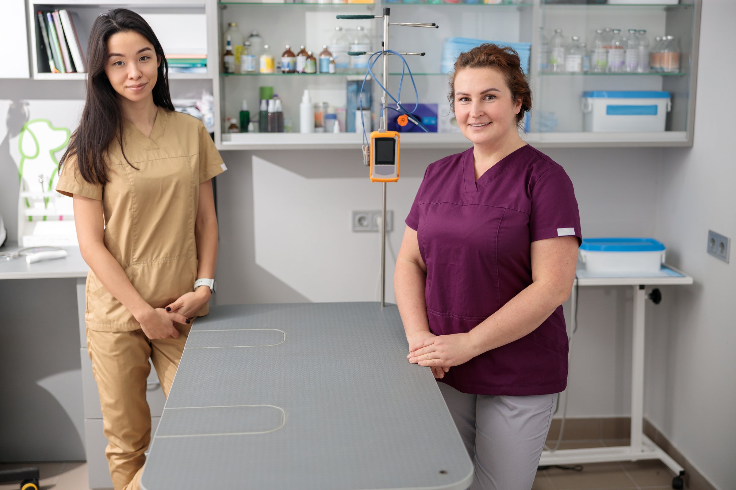 confident doctors in modern veterinary clinic