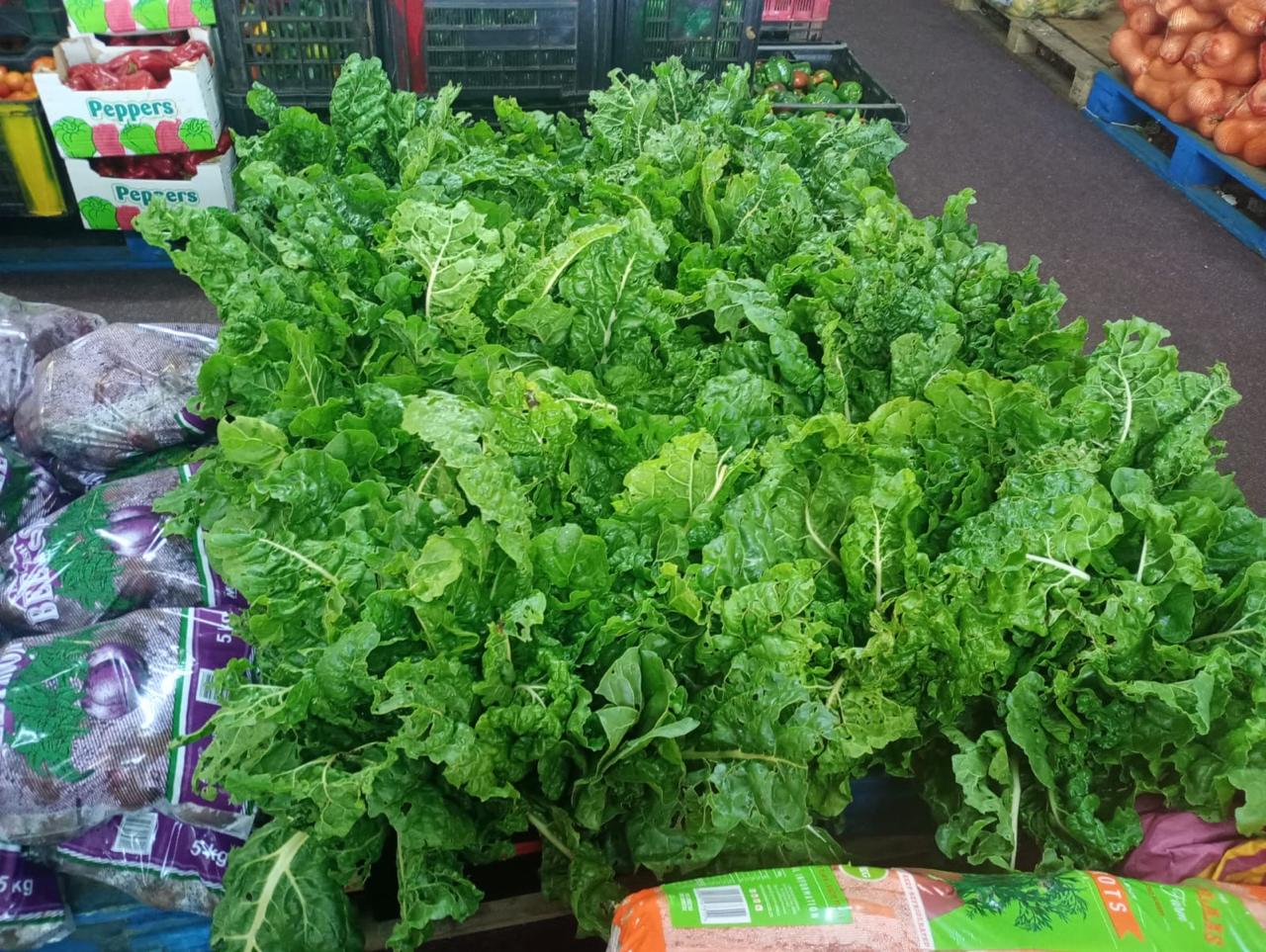 Agriculture and construction projects