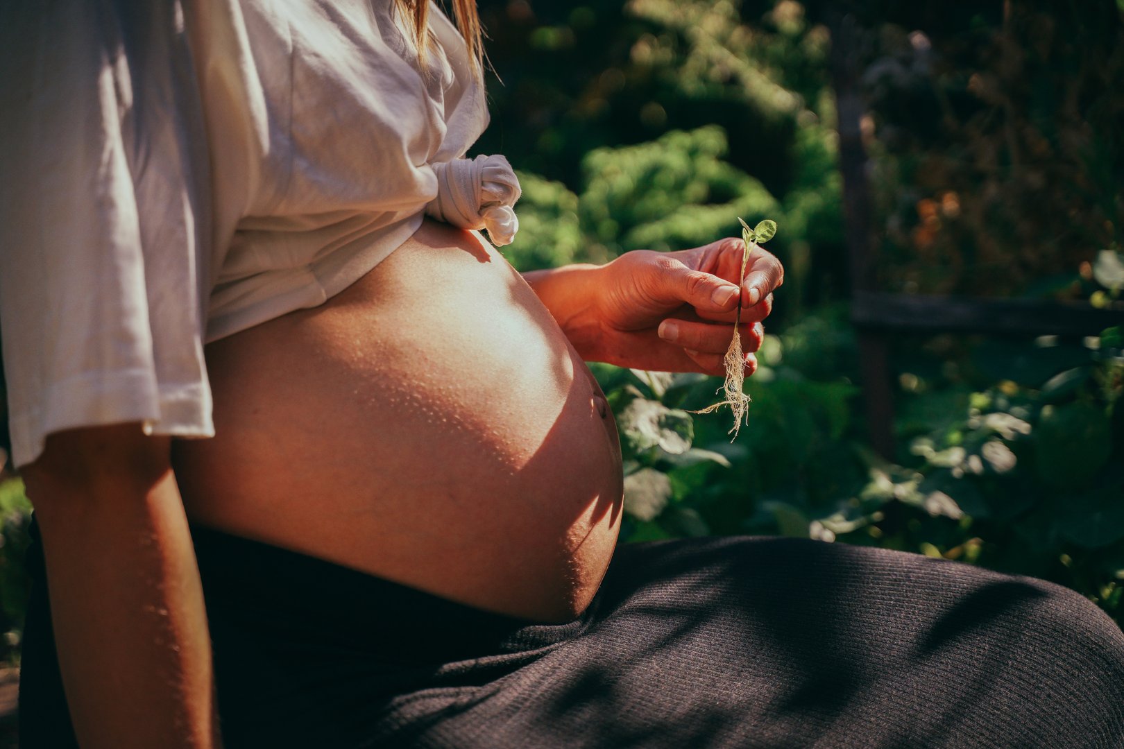 Woman with sprouted plant is expecting a baby.