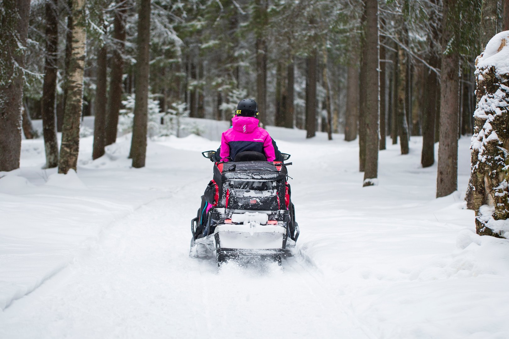 Syktyvkar, Komi Republic, Russia, March 9, 2025, People ride a snowmobile through the forest in winter.