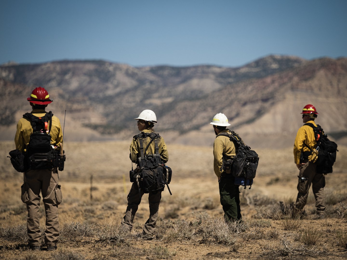 Wildland firefighters overlooking a training exercise