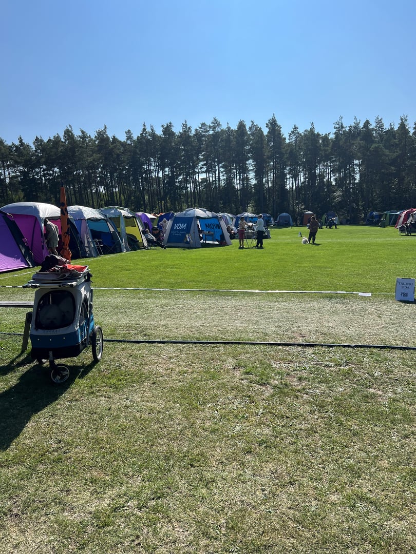 Visby AIK - Klubbverksamhet