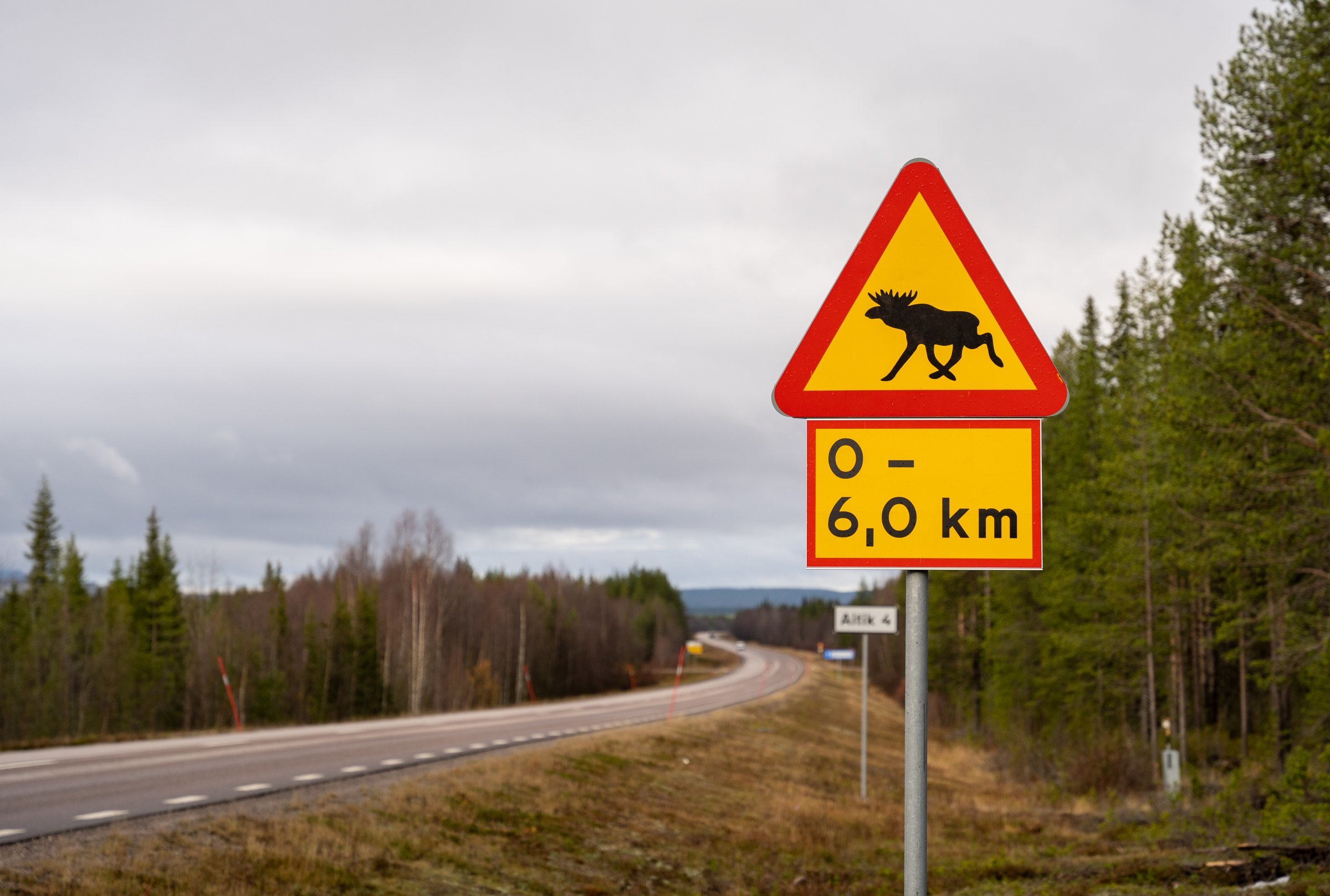 Beware of moose sign in Sweden