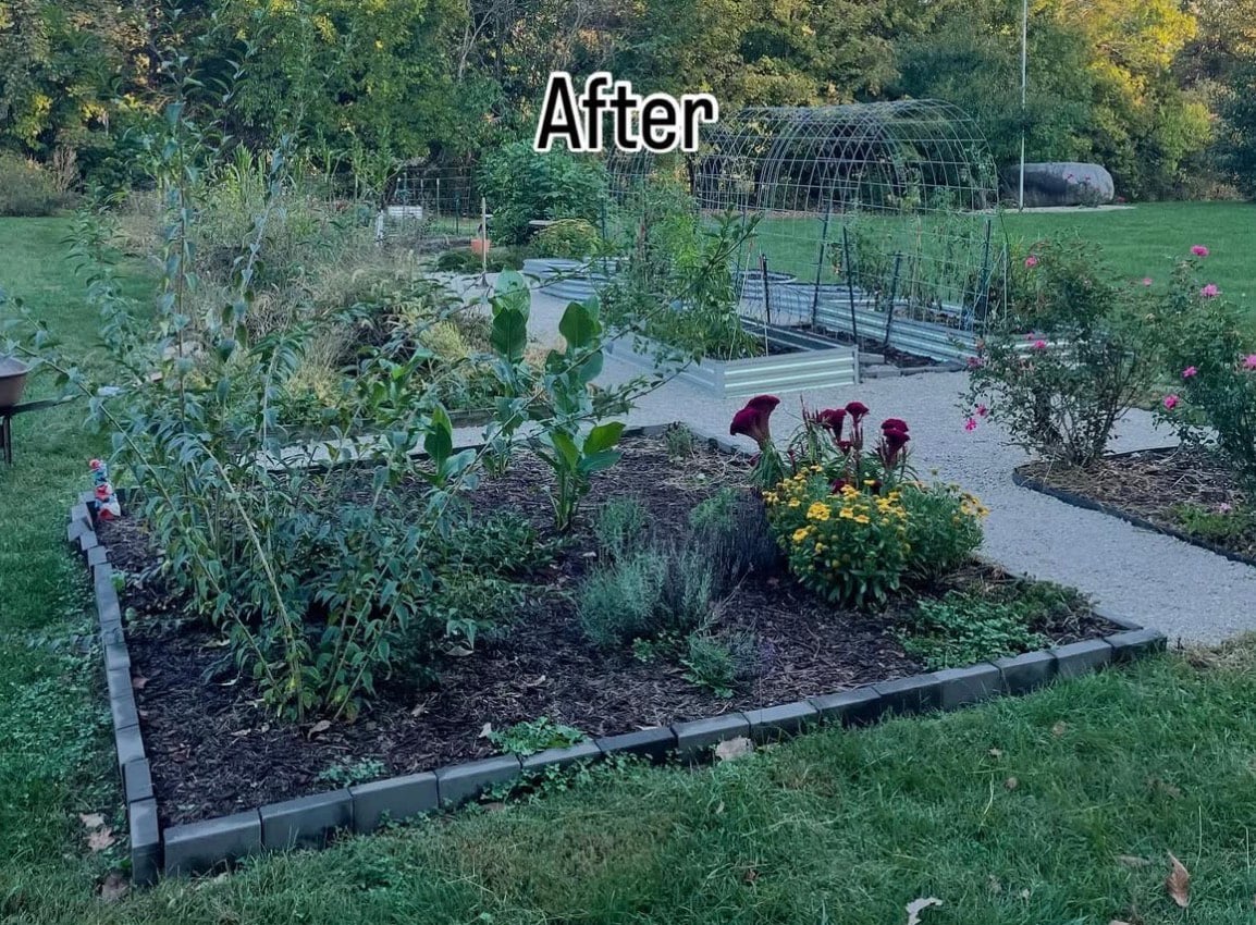 After landscaping transformation