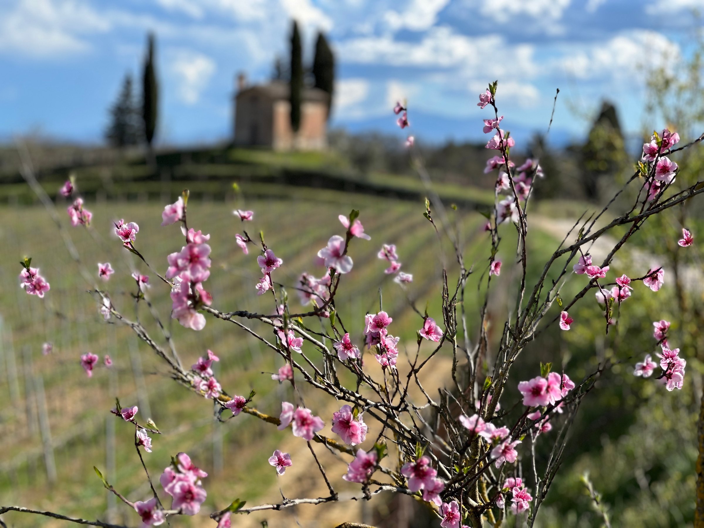 Italian Property Architecture and Sky