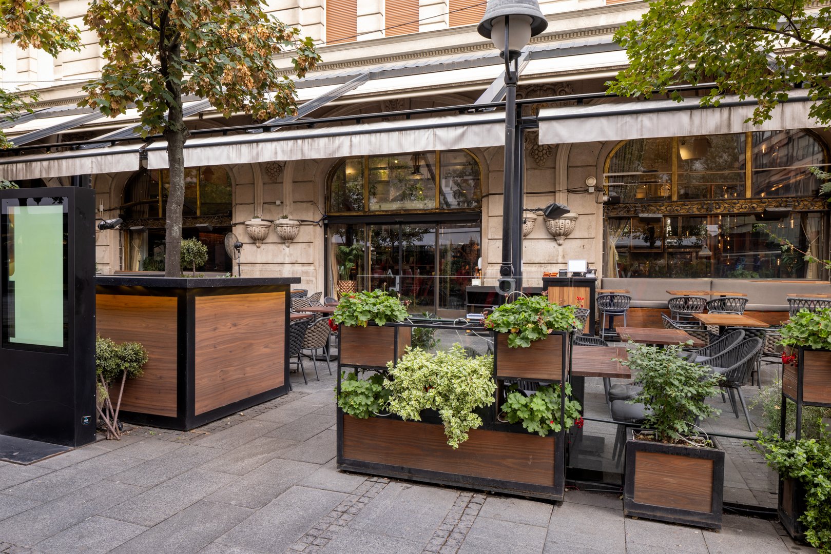 Open-air café area with tables under large leafy trees