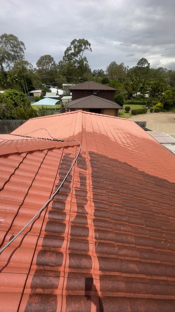 Roof cleaning service